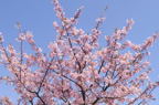 D2014007_013H