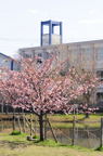 D2014007_026V