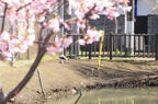 D2014007_027H