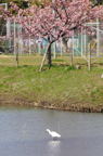 D2014007_035V