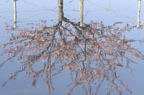 D2014007_042H