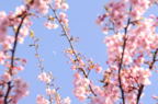 D2014007_054H