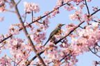 D2014007_059H