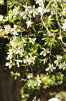 D2014010_008V