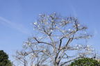D2014010_010H