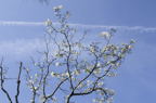 D2014010_024H