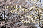 D2014010_041H