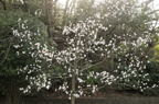 D2014010_044H