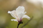 D2014010_056H