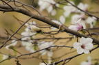 D2014010_058H