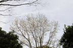 D2014010_064H