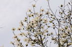 D2014010_068H