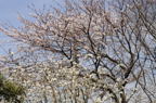 D2014010_071H