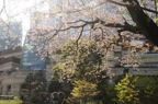 D2014012_013H