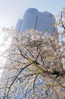 D2014012_014V