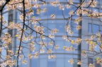 D2014012_023H