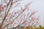D2014012_067H