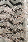 D2014012_085V