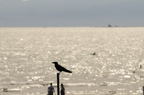 D2014022_029H