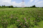 D2014026_046H