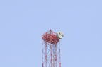 D2014026_049H