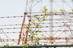 D2014026_072H