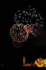 D2014028_171V