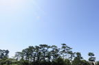 D2014029_003H