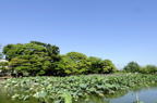 D2014029_018H