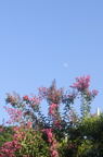 D2014029_043V