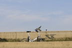 D2014036_038H