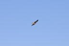 D2014040_009H