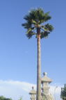 D2014040_032V