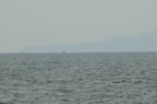 D2014042_007H