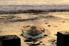 D2014041_102H