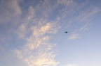D2014041_108H