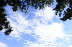 D2014043_001H