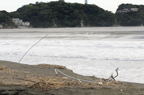 D2014043_030H