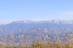 D2014046_002H