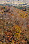 D2014046_012V