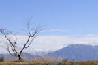 D2014046_028H