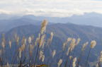 D2014046_042H