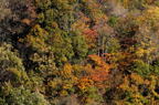 D2014046_056H