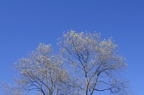 D2014046_060H
