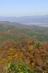 D2014046_091V