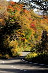 D2014046_096V