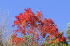 D2014046_099H