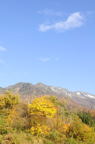 D2014047_006V