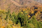 D2014047_011H