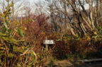 D2014047_027H